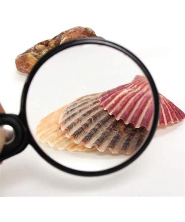 Magnifier Pocket Folding Magnifying Glass Loupe Pocket 10X 60mm Old Man Reading Student Child with Magnifying Mirror Tool - Buy Online on GoSupps.com