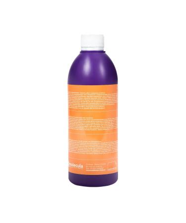 Sirup for Bubble Tea 0.5L Peach - Vegan Gluten-Free Beverage Syrup | Fruit Syrup Concentrate for Desserts | 100% Natural No Artificial Dyes - Buy Online on GoSupps.com