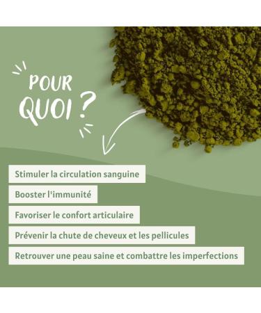 Organic Leaf Nettle 500g - Rich in Minerals Source of Vitamin C Calcium and Iron Natural Strengthener - Buy Online on GoSupps.com