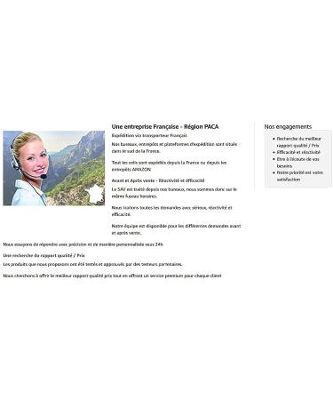 12-Piece Premium Synthetic Make-Up Brush Set | Professional Brushes for Foundation Blush & Concealer - International Shipping Available - Buy Online on GoSupps.com