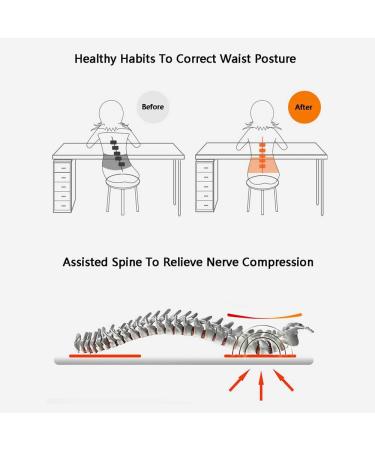 Aostfox Adjustable Lumbar Support Belt | Magnetic Therapy Waistband for Sciatica Relief | XL Body Formation Mesh Belt - Buy Online on GoSupps.com