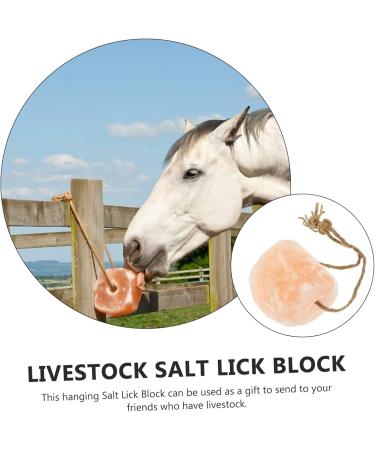 Ipetboom Animal Lick Salt Block Small Pets Lick Salt Horse Salt Lick Salt Lick Deer Salt Chew Treat Supplies - Buy Online on GoSupps.com