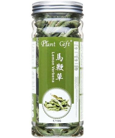 100% Lemon Verbena 10G/0.35oz Feuilles fra ches Non - OGM Herbes Naturelles Fleurs s ch es Pures hautement aromatiques adapt es la Viande aux l gumes aux soupes - Buy Online on GoSupps.com