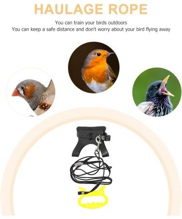 Generic Pigeon Harness Parrot Bird Strap- Adjustable Bird Vest& Harness Kit/Outdoor Parrot Flight Training Rope/Pet Outdoor Leash Suitable for Parrot Lovebird Cockatiel Birds ( M ) Macaw Harness - Buy Online on GoSupps.com