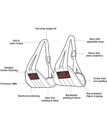 DEAGLE SPORTS Ab Straps - Abdominal Muscle Builder for Men & Women - Home Gym Pull Up Bar Core Abs Strength Trainer - Fitness Workout Equipment in Black - Buy Online on GoSupps.com