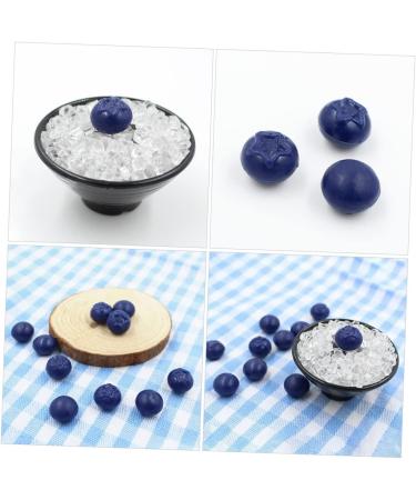 Alipis 150 Pcs Simulation Blueberry Realistic Berry Fake Blueberries Decor Blueberries Photo Prop Fake Blueberry Lifelike Fruits Model Miniature Blueberry Scrapbook Fake Fruit Resin - Buy Online on GoSupps.com