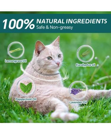 Luminous Safety Glow Repellent Collar Adjustable Water Resistant Cat Repellent Collars for Cats Medium Large Puppy 4 Pack Grey - Buy Online on GoSupps.com