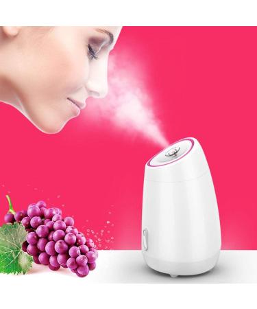 Machine De Beaut Compteur D'eau La Maison Des Fruits Et L gumes Visage Nano Cuisson La Vapeur Fruit Cuisson La Vapeur Hydratant Instrument Vapeur Pulv risation Chaud Unisexe Blanc White - Buy Online on GoSupps.com