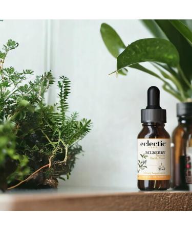 Eclectic Herb - Bilberry Liquid Herbal Glycerite | Vision Support Supplement | Vision Health & Cardiovascular Support | Concentrated Alcohol-Free Organic Vegan Non GMO (1 fl oz | 30 ml) Orange 1 Fl Oz (Pack of 1) - Buy Online on GoSupps.com