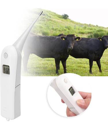 Fast Digital Veterinary Thermometer for Livestock | Anus Thermometer for Pigs, Cattle, Sheep & Pets - Buy Online on GoSupps.com