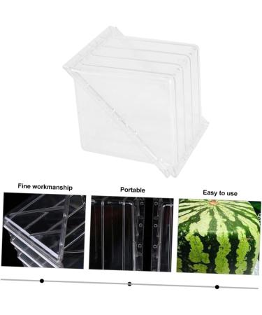 HOMSFOU Watermelon Shaping Vegetables Vegetable Growth Molds Strawberry Cup Fruit Forming Mold Tool Cucumber Ginseng Fruit 15x15cm Transparent - Buy Online on GoSupps.com
