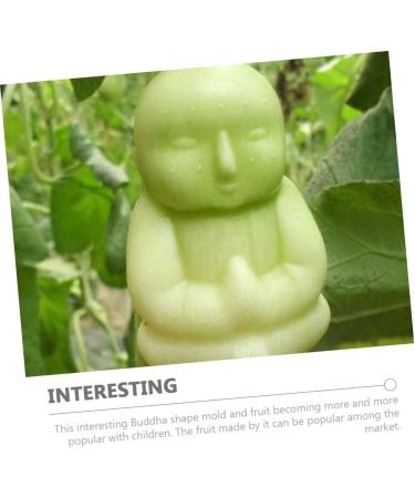 VILLCASE 6 Pcs Vegetable Shaping Mold Cucumber Shaping Molds Adorable Buddha Mold Multitools Small Watermelon Transparentx3pcs 10x7cmx3pcs - Buy Online on GoSupps.com