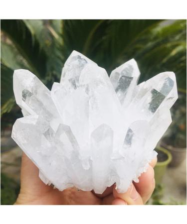 400-500g Natural Clear Quartz Crystal Cluster Minerals for Reiki Stone Home Furnishing ZJGIDTEM - Buy Online on GoSupps.com