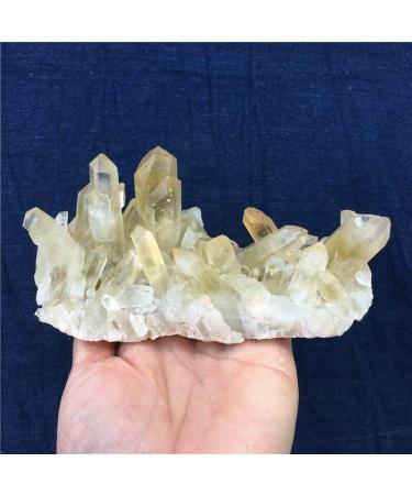 1.34LB Natural Citrine Quartz Specimen D2230 Raw Stones and Minerals Stone Mineral Specimen - Buy Online on GoSupps.com