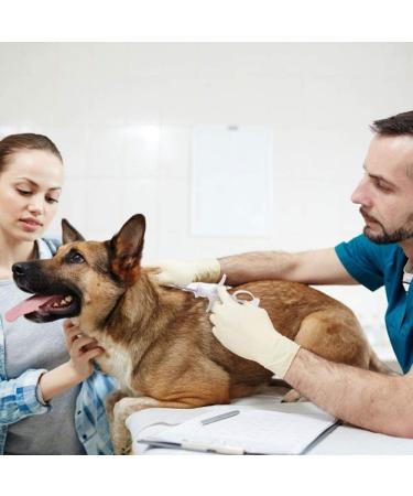 Backagin 2.12mm Microchips for Dogs and Cats - 20 Pack Implant Kit for Veterinary Management - Buy Online on GoSupps.com