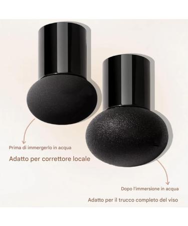 For air mushrooms BB cream - moisturizing corrective makeup base hydrating base | Perfecting for light coverage with nourishing ingredients - Buy Online on GoSupps.com