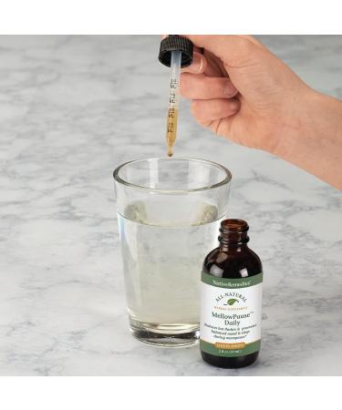 Native Remedies MellowPause - Natural Homeopathic Formula for Menopause Relief - 1pk - Buy Online on GoSupps.com