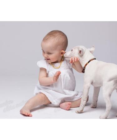 100% Baltic Amber Dog & Cat Chain - Effective Tick Protection & Stylish Collar | Ilikeamber.com - Buy Online on GoSupps.com