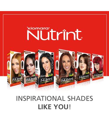 Xiomara Nutrint Hair Color Cream 410 Caf Express - Premium Casta o Cenizo Hair Dye for Vibrant Long-Lasting Color | Shop Internationally - Buy Online on GoSupps.com