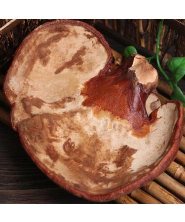 Dired Ganoderma Lucidum Lingzhi Ganoderma Lucidum Pieces Reishi Mushroom Slices Ganoderma Mushroom (250 Grams /0.55 lbs) 1 Count (Pack of 1) - Buy Online on GoSupps.com