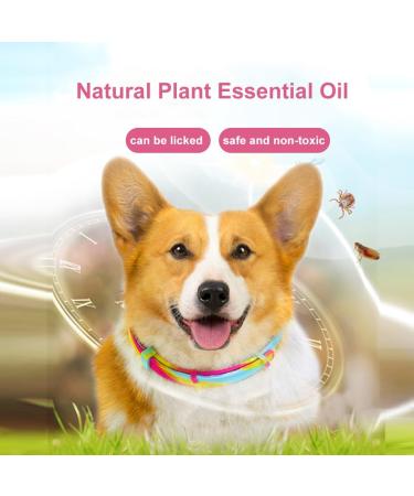 Cutially Waterproof Flea & Tick Protection Collar for Dogs & Cats | Adjustable Comb Included - Buy Online on GoSupps.com