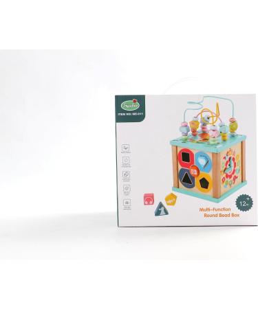 Fajiabao 5-in-1 Motor Cubes Toy for Babies (1 Year+) | Montessori Motor Skills Activity Center | Perfect Easter Gift for Young Girls - Buy Online on GoSupps.com