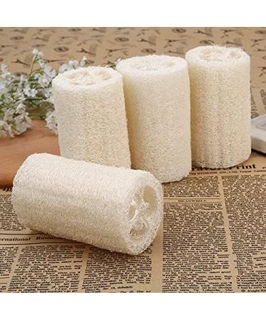 6 Pcs Natural Luffa Sponge Set - Biodegradable Luffa Sponges for Body Washing Shower Scrubs & Kitchen Cleaning - Buy Online on GoSupps.com