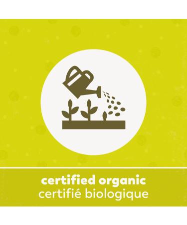 Yupik Organic Coconut Chia Cereal with Brown Rice & Chia Non-GMO Vegan Gluten-Free 1 Kg - Buy Online on GoSupps.com