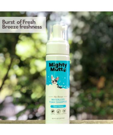 Mighty Mutt Hypoallergenic Waterless Shampoo for Dogs - Dry Foam Anti-Itch Relief | No Rinse Soothing & Deodorizing | Fresh Breeze 8oz - Buy Online on GoSupps.com