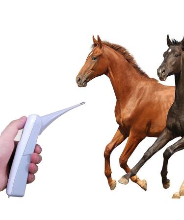 Hurinan Animal Electronic Thermometer Pet Thermometer Digital Thermometer is a Fast Rectal Thermometer for Dogs Cats Horses Livestock Pet Clinic - Buy Online on GoSupps.com