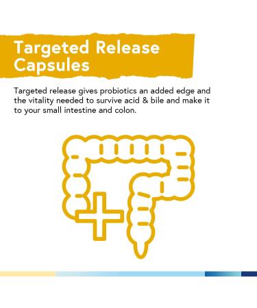 Terranics Probiotics 60 Billion CFU 20 Strains - Digestive & Immune Support Supplement for Men & Women - Non-GMO, Shelf Stable, 60 Veg Capsules - Buy Online on GoSupps.com