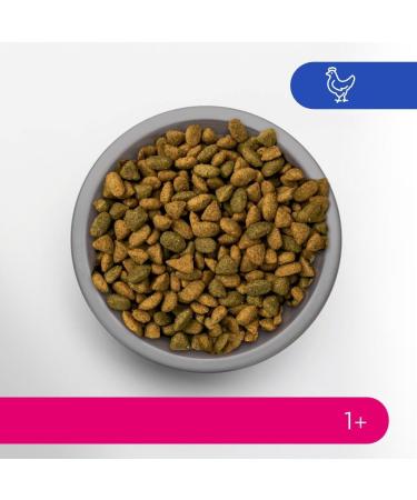 PERFECT FIT Adult 1+ Adult Cat Food - Meets the Specific Needs of a Sterilized Cat - High Chicken Food - 2.8kg (Pack of 3) - Buy Online on GoSupps.com