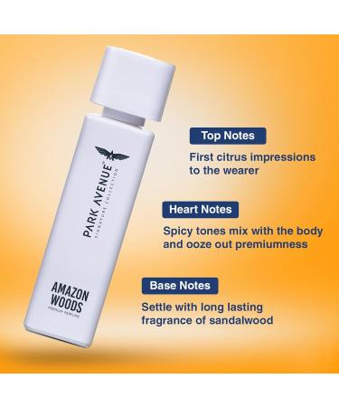 Park.Avenue Men Voyage Amazon Woods Liquid Perfume 120Ml - Buy Online on GoSupps.com