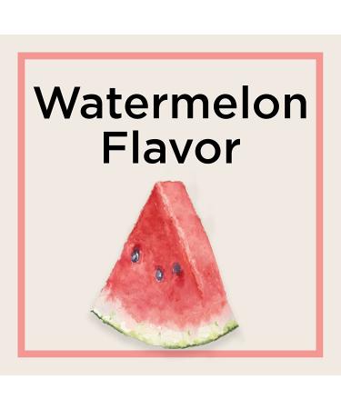 Carmex Comfort Care Watermelon Blast Stick - Pack of 2 - Buy Online on GoSupps.com