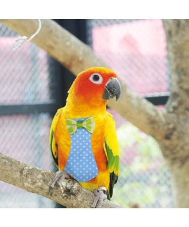 Conlense Pigeon Pants Cloth Diaper Fasteners | Reusable Parrot Bird Diapers Flight Suit Diapers (Blue S) - Buy Online on GoSupps.com