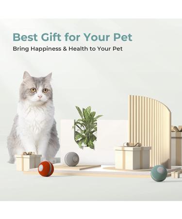 Cheerble Smart Interactive Cat Toy | 3 Modes | Automatic Moving Bouncing Rolling Ball | Indoor Cat Kitten Birthday Gift | Self Rotating with Lights and Bell | USB Rechargeable - Green - Buy Online on GoSupps.com