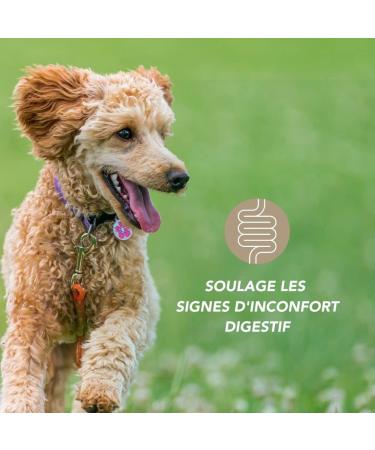 Floralpina Laboratory Laboratoire Floralpina Complete liquid at 200 ml for dogs and cats - Buy Online on GoSupps.com