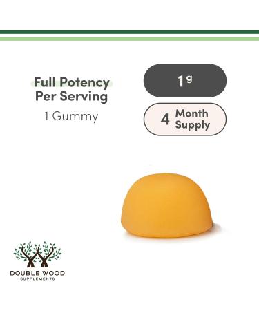 Creatine Monohydrate Capsules - 1,000mg 120 Count - No Fillers Vegan Safe Non-GMO Gluten Free by Double Wood - Buy Online on GoSupps.com