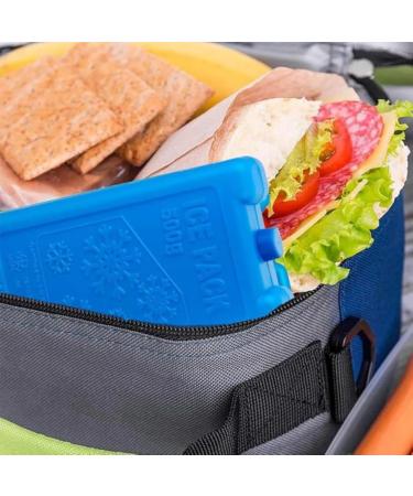 PARENCE Set of 2 500ml cooling pads nontoxic and durable ideal for lunch picnics trips camping and coolers - Buy Online on GoSupps.com