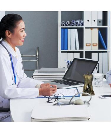 Unique Dental Office Tooth Decor Sculpture | Personalized Desk Accessories Gift for Dentists - Wudaizhi - Buy Online on GoSupps.com