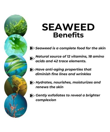 Repechage Algo Mist Hydrating Seaweed Facial Spray for All Skin Types - Aloe and Vitamin C Infused Face Mist Keeps Skin Hydrated Refreshed and Nourished 6 fl oz. - Buy Online on GoSupps.com