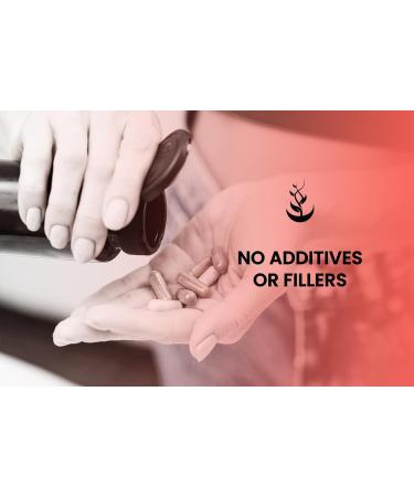 PURE ORIGINAL INGREDIENTS Arginine AAKG (365 Capsules) No Magnesium Or Rice Fillers Always Pure Lab Verified 365 Count (Pack of 1) - Buy Online on GoSupps.com