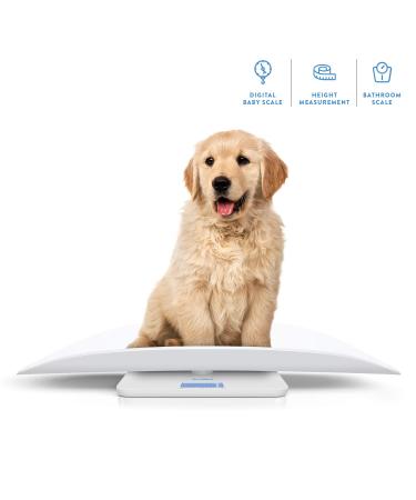 AccuMed Multi-Function Baby & Pet Scale - Digital Weight & Height Tracker with Blue Backlight - Buy Online on GoSupps.com