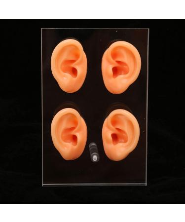 Ear Display Model - Realistic Human Ear Replica with Waterproof Skin Texture, Educational Tool with Acrylic Stand for Shop Window Display - Buy Online on GoSupps.com