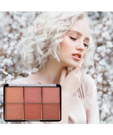 Go Ho 6-Color Face Blush Palette Light Matte Contour Makeup Kit - Set with Brush - Buy Online on GoSupps.com