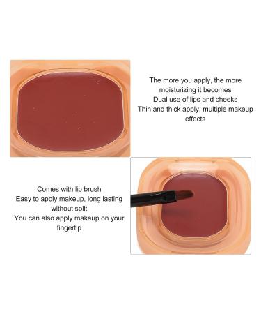 Tinted Lip Balm | Compact & Portable Dryness Prevention Lipstick | Perfect for Outdoor Use - Buy Online on GoSupps.com