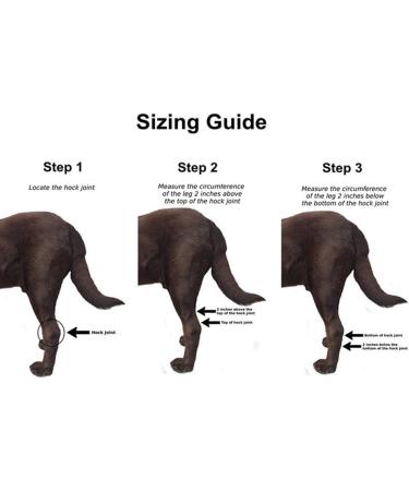 Pair of Dog Front Leg Brace - Canine Compression Wrap Protects Wounds Heal Support Due to Arthritis to Prevent Injuries(1 Pair L-XL) - Buy Online on GoSupps.com