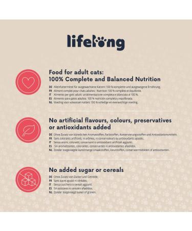 Amazon Brand Lifelong Cat Food - Beef Pate 100g (Pack of 16) - Premium International Shipping - Buy Online on GoSupps.com