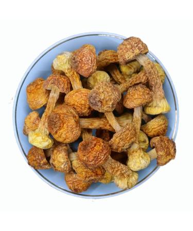 Zercumm Yunnan Agaricus Blazei 500G (17.6Oz) Dry Goods Brazil Mushroom Edible Fungus Mushroom Bulk Tricholoma Matsutake