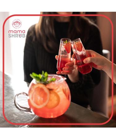 MAMASHRUB Organic Strawberry & Pink Peppercorn Sparkling Drink with Apple Cider Vinegar 12 x 330mL Cans 100% Natural Organic Non-Alcoholic Made in Canada - Buy Online on GoSupps.com